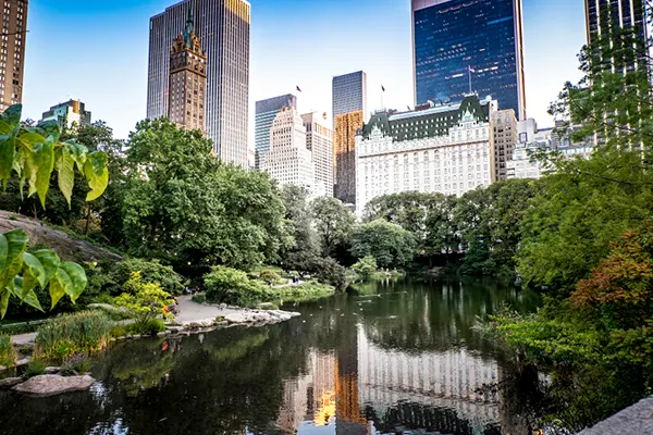 En el corazón de Nueva York se encuentra Central Park, un refugio de tranquilidad y esplendor natural que cautiva a visitantes de todo el mundo. Con sus más de 341 hectáreas...